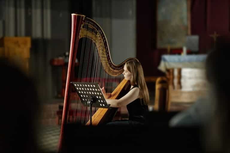 Harp Player
